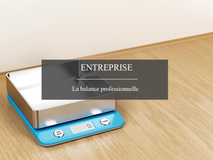 Balance professionnelle : un indispensable pour les industries