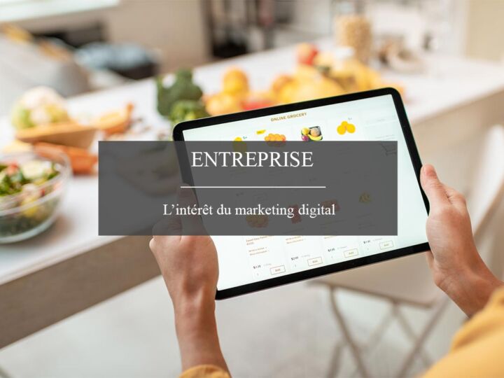 L&rsquo;importance du marketing pour les entreprises en ligne