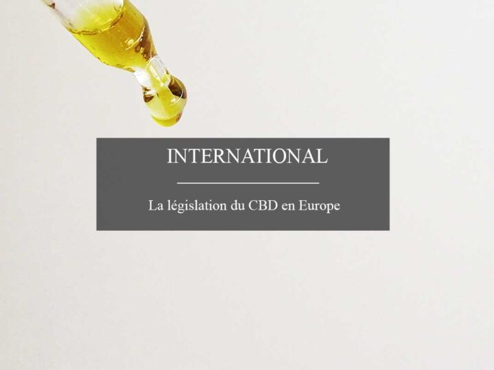 Législation du CBD : le point sur la situation en France et en Europe