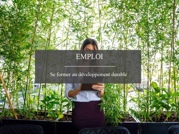 Quelles études pour vous former au management dans le développement durable ?